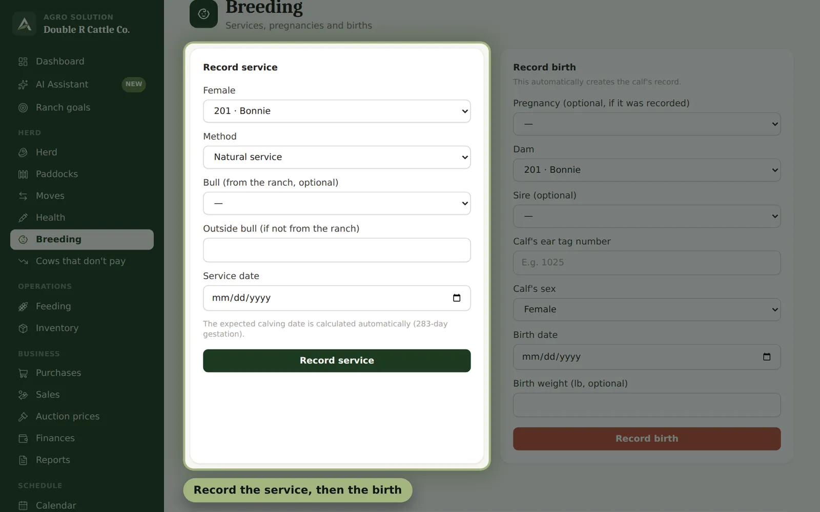 Agro Solution screen: Breeding and calving